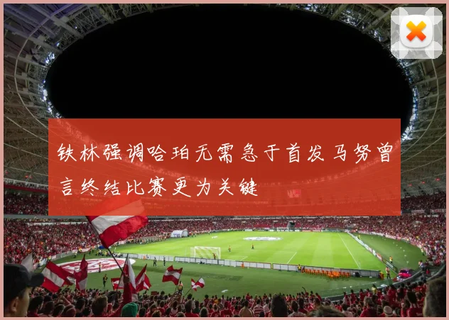 铁林强调哈珀无需急于首发马努曾言终结比赛更为关键