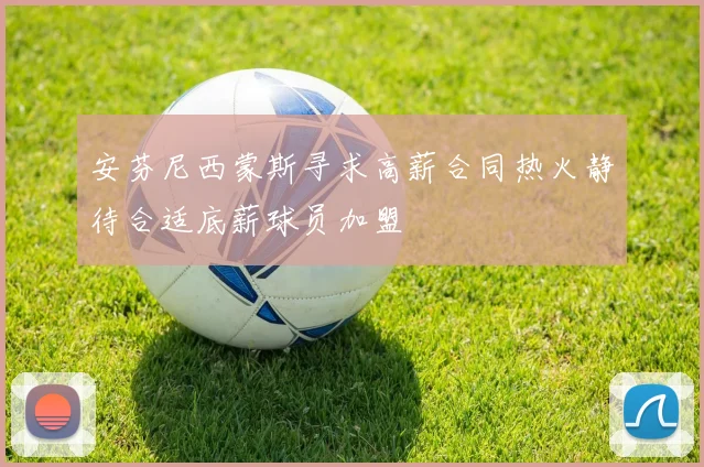 安芬尼西蒙斯寻求高薪合同热火静待合适底薪球员加盟