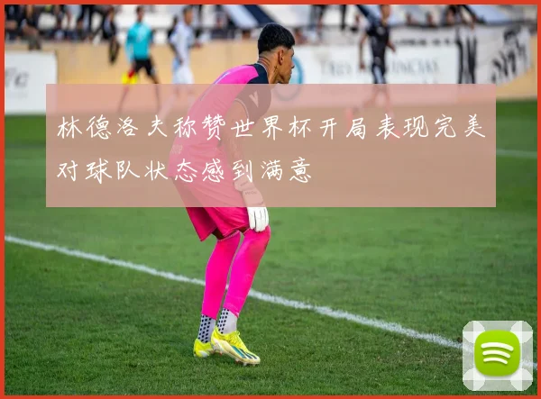 林德洛夫称赞世界杯开局表现完美对球队状态感到满意