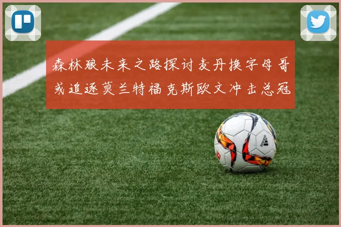 森林狼未来之路探讨麦丹换字母哥或追逐莫兰特福克斯欧文冲击总冠军