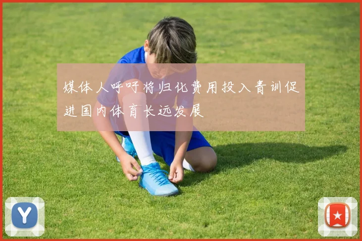媒体人呼吁将归化费用投入青训促进国内体育长远发展